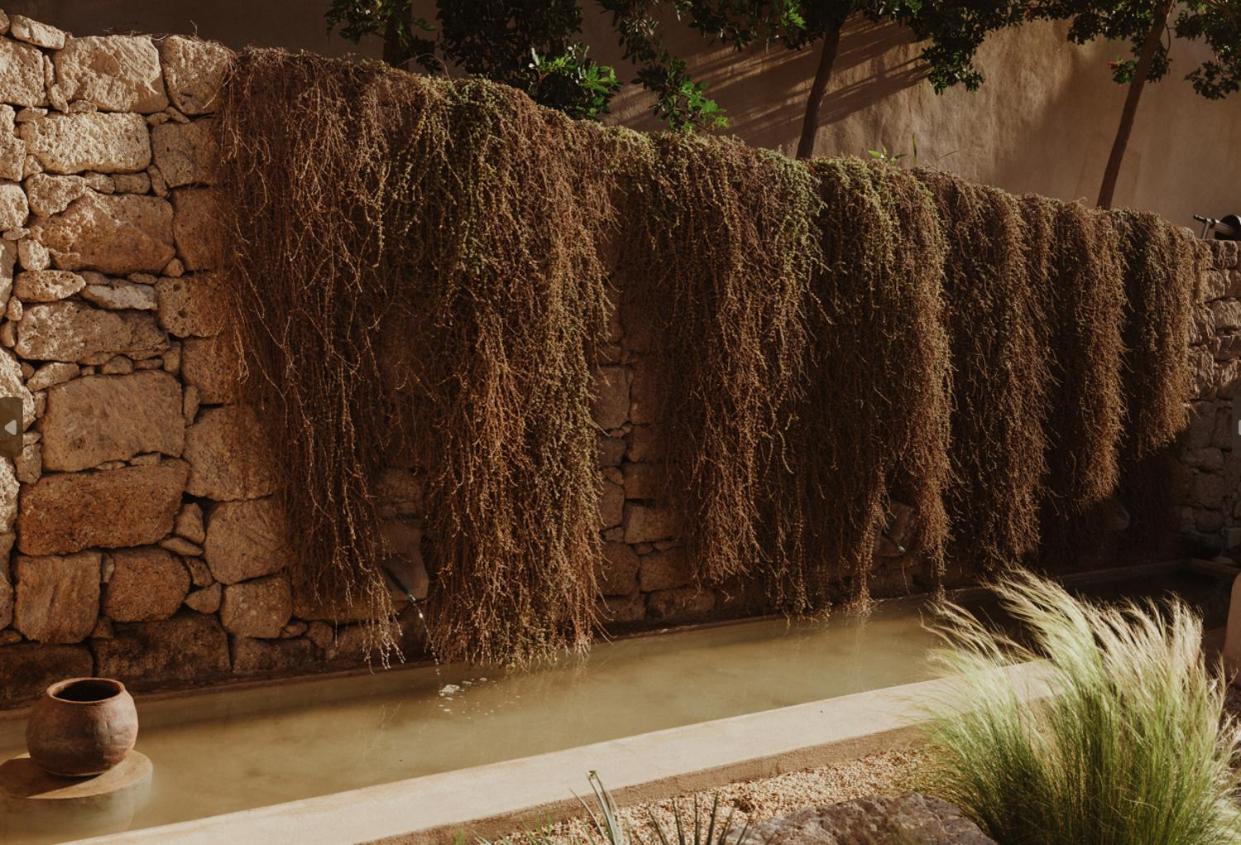 Ecohotel El Agua Arico el Nuevo ภายนอก รูปภาพ
