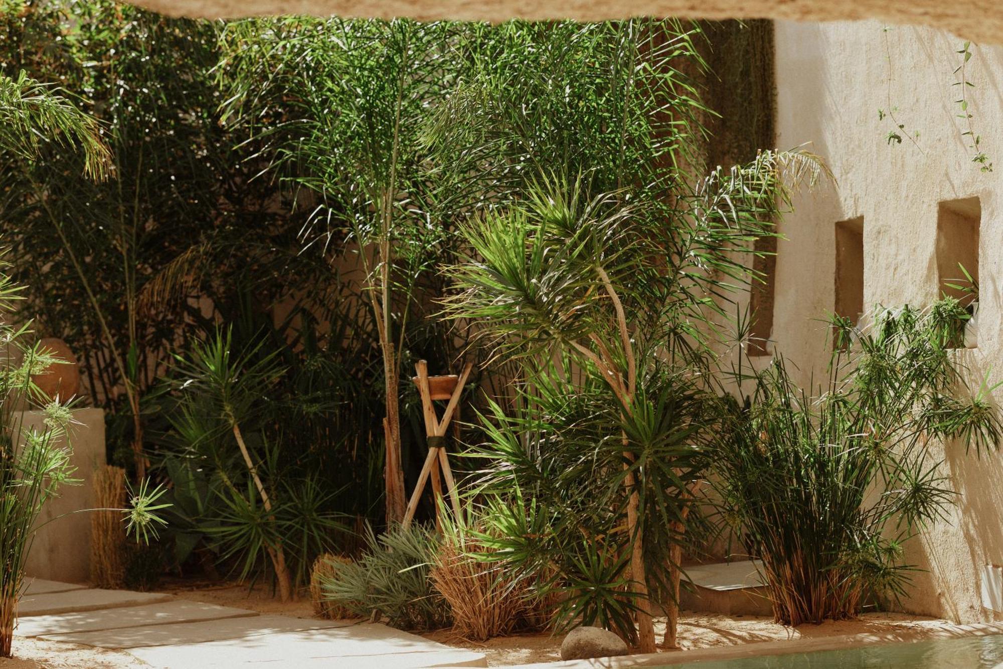 Ecohotel El Agua Arico el Nuevo ภายนอก รูปภาพ