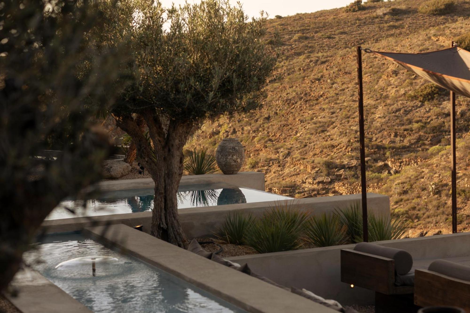 Ecohotel El Agua Arico el Nuevo ภายนอก รูปภาพ